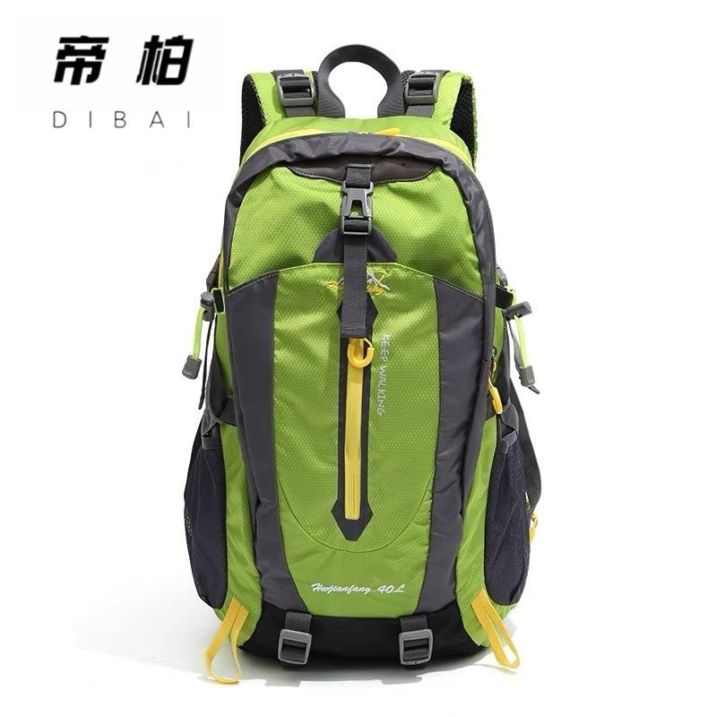 Adventure Ready: Find Your Perfect Travel Companion